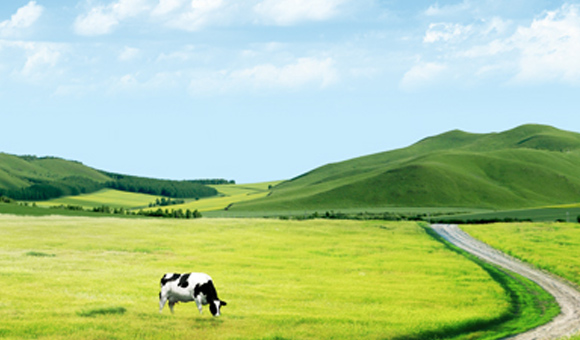 Τ��1946��(�й���)�ٷ���վ