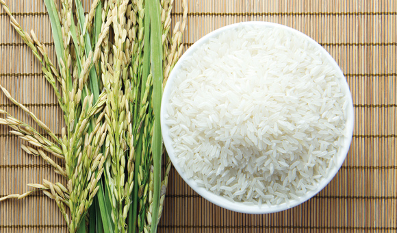 Τ��1946��(�й���)�ٷ���վ