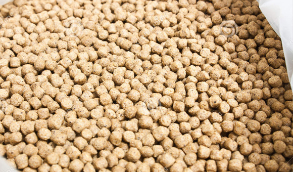 Τ��1946��(�й���)�ٷ���վ