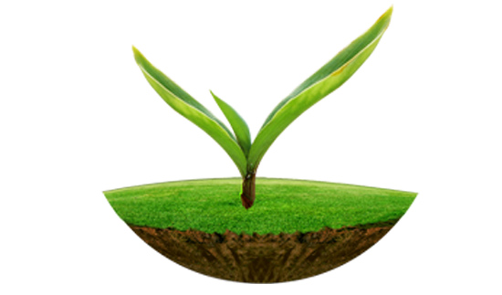 Τ��1946��(�й���)�ٷ���վ