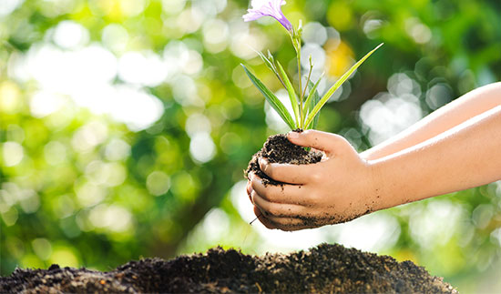 Τ��1946��(�й���)�ٷ���վ