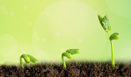 Τ��1946��(�й���)�ٷ���վ