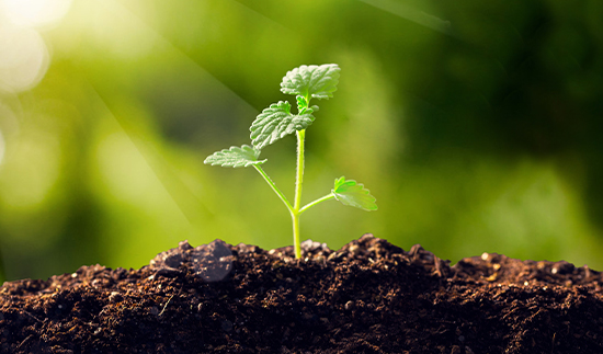 Τ��1946��(�й���)�ٷ���վ