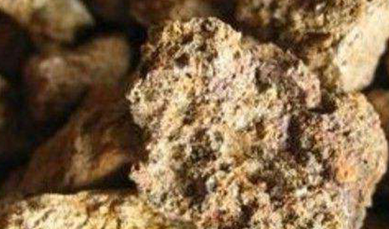 Τ��1946��(�й���)�ٷ���վ