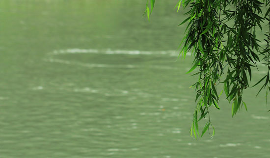 Τ��1946��(�й���)�ٷ���վ