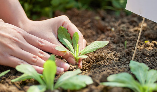 Τ��1946��(�й���)�ٷ���վ