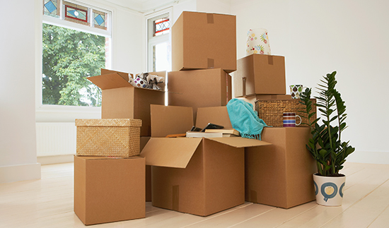 Τ��1946��(�й���)�ٷ���վ