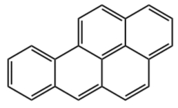 Τ��1946��(�й���)�ٷ���վ